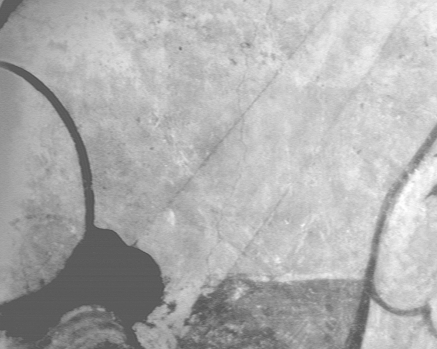 Reflectografia infraroja Reflectografia infraroja