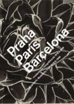 2010 - D.Balsells, J Naranjo - Dir. científica