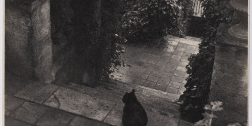 Entrada al meu jardí (Jardí de la casa del Putxet, Barcelona) Otho Lloyd - Entrada al meu jardí (Jardí de la casa del Putxet, Barcelona) - Cap a 1945