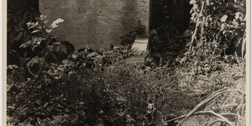 Jardí de la casa del Putxet (Barcelona) Otho Lloyd - Jardí de la casa del Putxet (Barcelona) - Cap a 1948