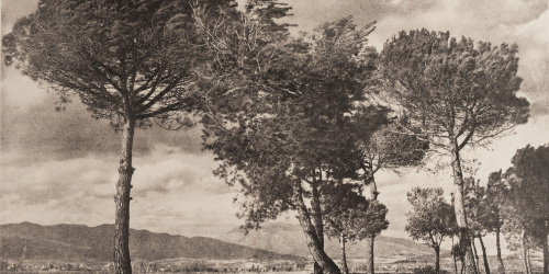 image for: Josep Maria Casals i Ariet - Paisatge - Cap a 1930-1950