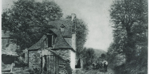 image for: Josep Maria Casals i Ariet - Paisatge amb casa i bous - Cap a 1957