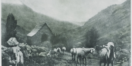 image for: Josep Maria Casals i Ariet - Ramat de bens (Vall d&#039;Aran) - No datat