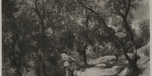 image for: Josep Maria Casals i Ariet - Paisatge amb home carregant llenya - No datat