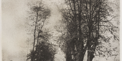image for: Josep Maria Casals i Ariet - Paisatge - No datat