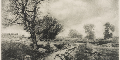 image for: Josep Maria Casals i Ariet - Paisatge - No datat