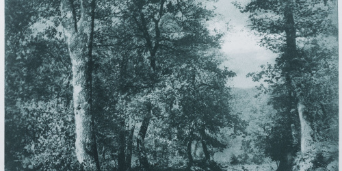 image for: Josep Maria Casals i Ariet - Paisatge - No datat