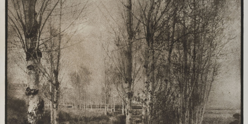 image for: Josep Maria Casals i Ariet - Paisatge amb pastor i ramat de bens - No datat