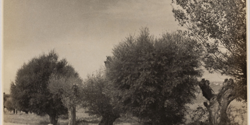 image for: Otho Lloyd - Paisatge - Cap a 1946