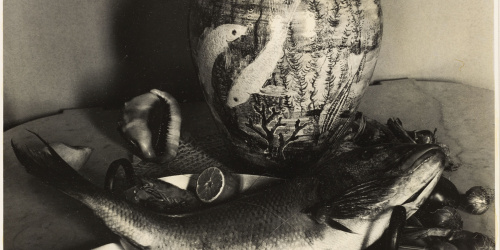 image for: Otho Lloyd - Natura morta - Cap a 1944-1950