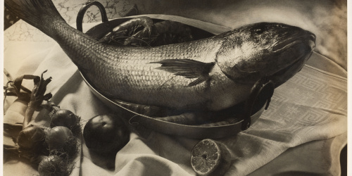 image for: Otho Lloyd - Natura morta - Cap a 1944-1950