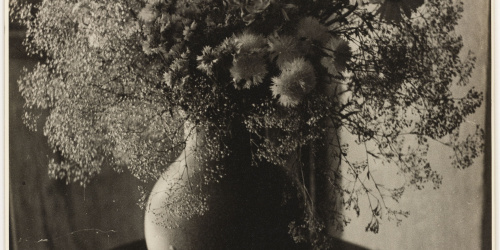 image for: Otho Lloyd - Natura morta - Cap a 1942