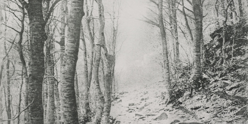 image for: Josep Maria Casals i Ariet - Santa Fe del Montseny - Cap a 1955