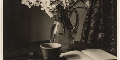 image for: Otho Lloyd - Natura morta - Cap a 1944-1950