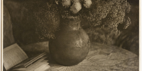 image for: Otho Lloyd - Natura morta - Cap a 1944-1950