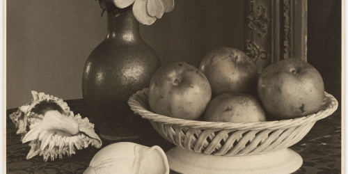 image for: Otho Lloyd - Natura morta - Cap a 1944-1950