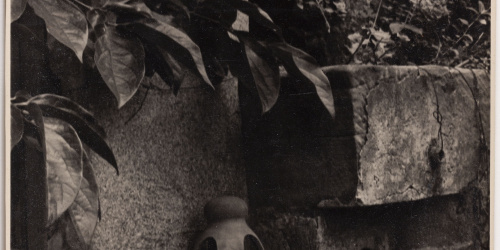 image for: Otho Lloyd - The Old Wall - Cap a 1944-1950