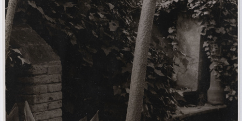 image for: Otho Lloyd - Jardí de la casa del Putxet (Barcelona) - Cap a 1948