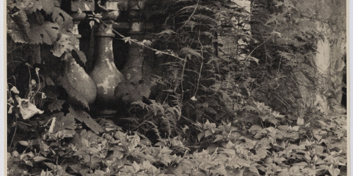 image for: Otho Lloyd - Jardí de la casa del Putxet (Barcelona) - Cap a 1948