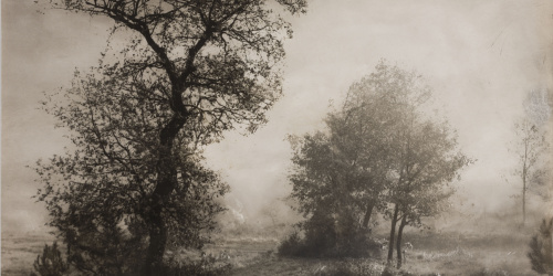 image for: Josep Maria Casals i Ariet - Paisatge - Cap a 1930-1950
