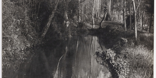 image for: Otho Lloyd - Paisatge - Cap a 1944-1950