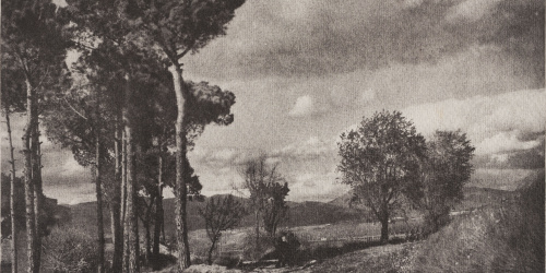 image for: Josep Maria Casals i Ariet - Paisatge - No datat