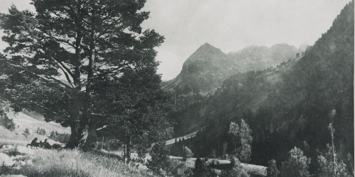 image for: Josep Maria Casals i Ariet - Paisatge - No datat