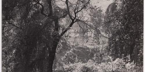 image for: Otho Lloyd - Paisatge - Cap a 1944-1950