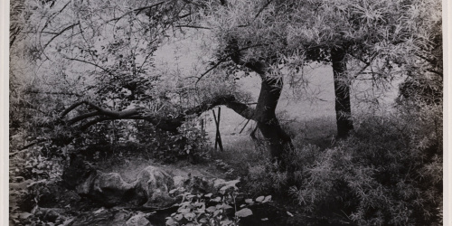 image for: Otho Lloyd - Paisatge - Cap a 1944-1950