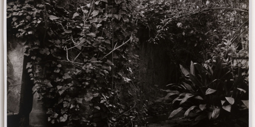 image for: Otho Lloyd - Paisatge - Cap a 1944-1950