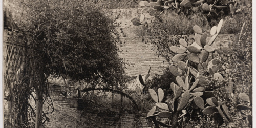 image for: Otho Lloyd - Paisatge - Cap a 1944-1950