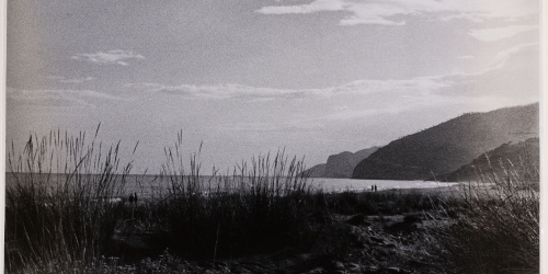 image for: Otho Lloyd - Paisatge - Cap a 1944-1950