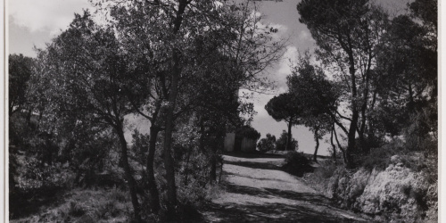 image for: Otho Lloyd - Paisatge - Cap a 1944-1950