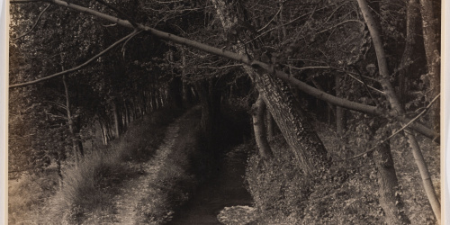 image for: Otho Lloyd - Paisatge - Cap a 1944-1950