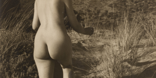 image for: Otho Lloyd - Nu femení en un paisatge - Cap a 1944-1950