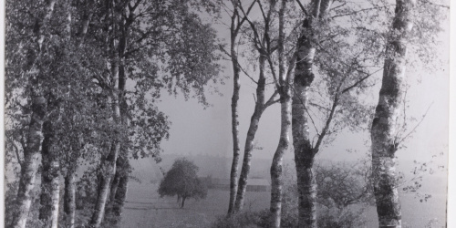 image for: Otho Lloyd - Paisatge - Cap a 1944-1950