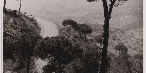 image for: Otho Lloyd - Paisatge - Cap a 1944-1950