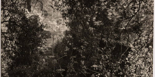 image for: Otho Lloyd - Paisatge - Cap a 1950