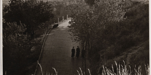 image for: Otho Lloyd - Paisatge - Cap a 1944-1950