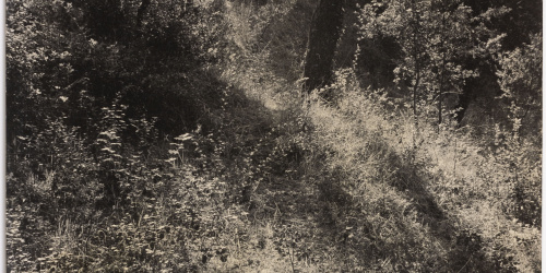 image for: Otho Lloyd - Paisatge - Cap a 1944-1950