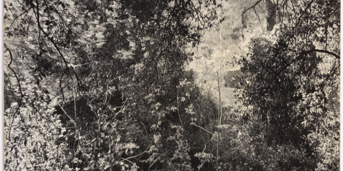 image for: Otho Lloyd - Paisatge - Cap a 1944-1950