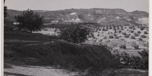 image for: Otho Lloyd - Paisatge - Cap a 1944-1950