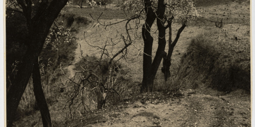 image for: Otho Lloyd - Paisatge - Cap a 1946