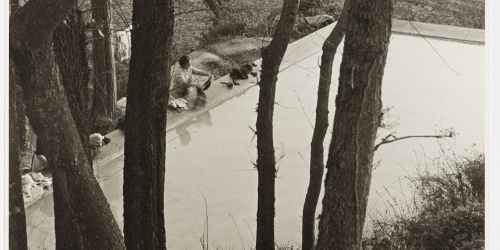 image for: Otho Lloyd - Paisatge - Cap a 1946