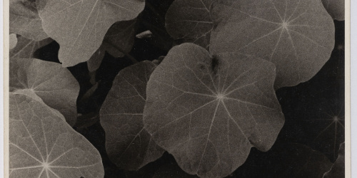 Otho Lloyd - Fulles - 1948 image for: Otho Lloyd - Fulles - 1948