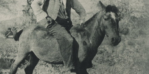 image for: Josep Maria Casals i Ariet - Home a cavall d&#039;un ruc - No datat