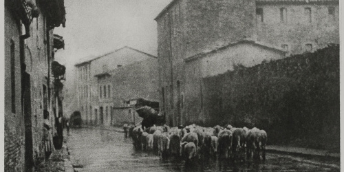 image for: Josep Maria Casals i Ariet - Carrer de poble amb ramat de bens - No datat