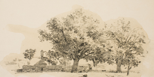 Francesc Gimeno - Estudi d'arbres - Cap a 1878 image for: Francesc Gimeno - Estudi d'arbres - Cap a 1878