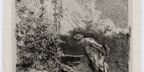 image for: Marià Fortuny - El botànic - Cap a 1868-1869