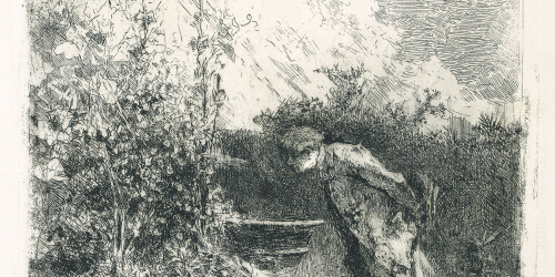 image for: Marià Fortuny - El botànic - Cap a 1868-1869